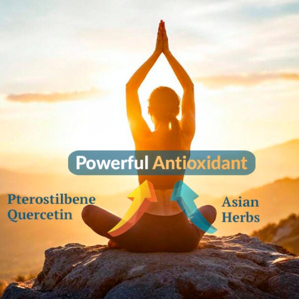 OptiNourish NAD+ Optimal image 3
