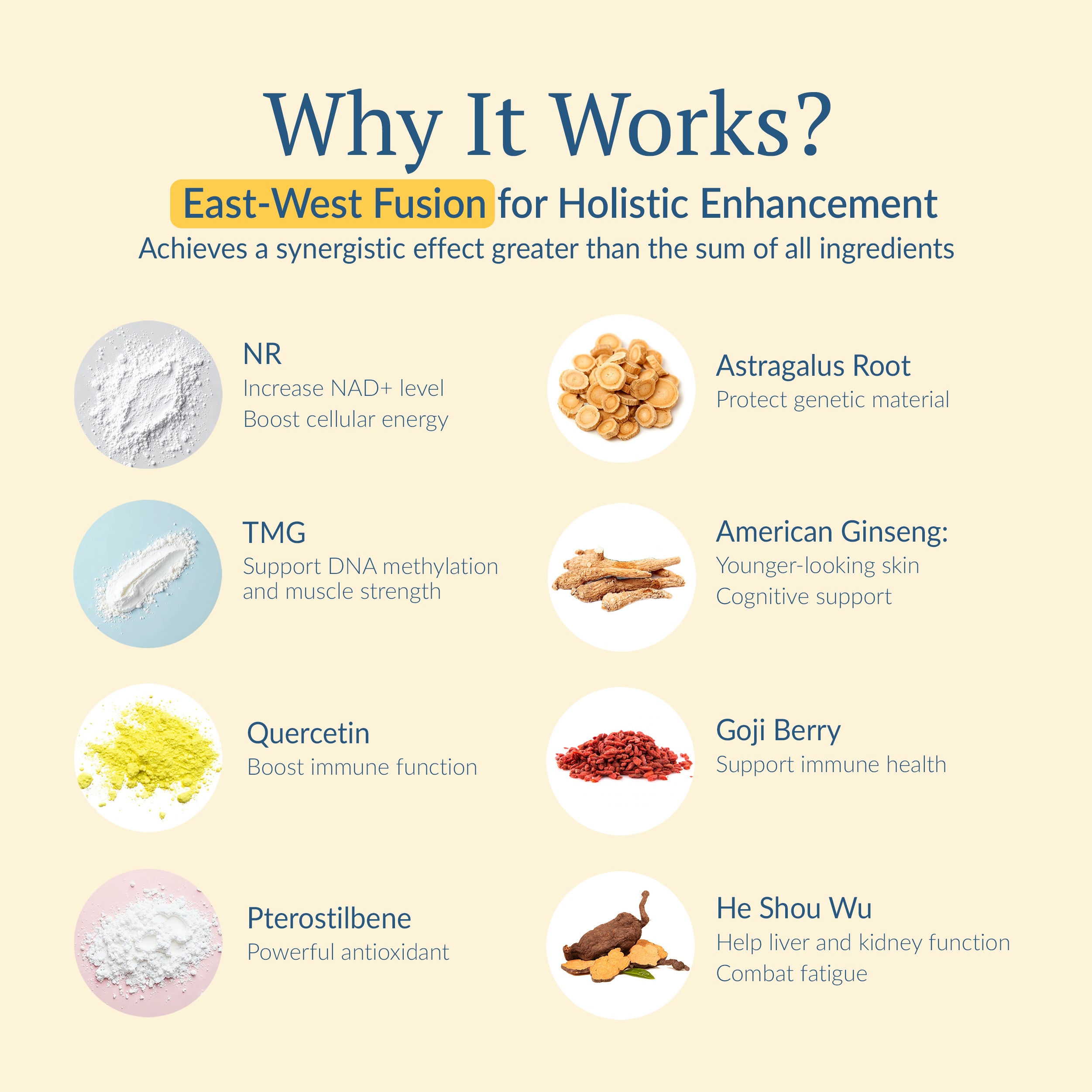 Diagram explaining the benefits of various ingredients in a holistic enhancement product of NAD+ Optimal by OptiNourish, with text and icons on a beige background.