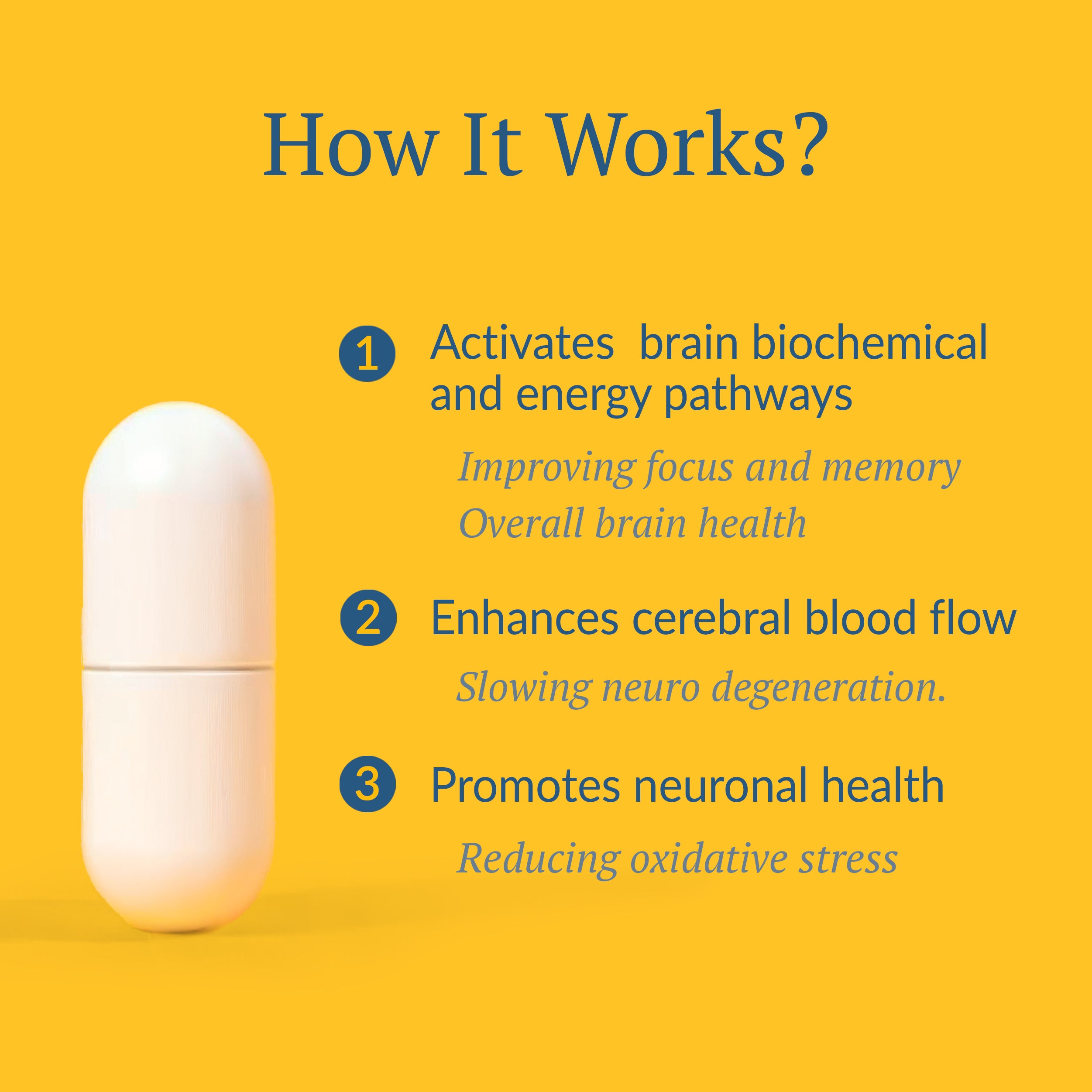 OptiNourish Brain Optimal capsule with text on a yellow background explaining its benefits