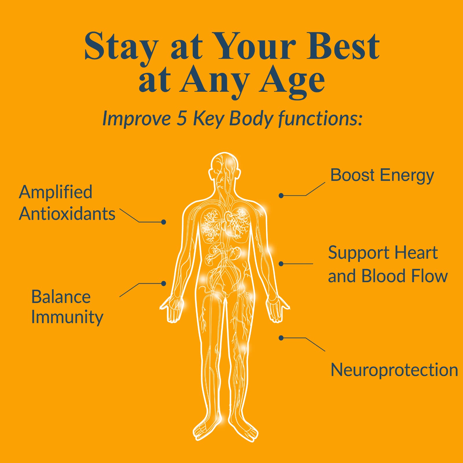 Diagram of a human body with text on improving key body functions on an orange background
